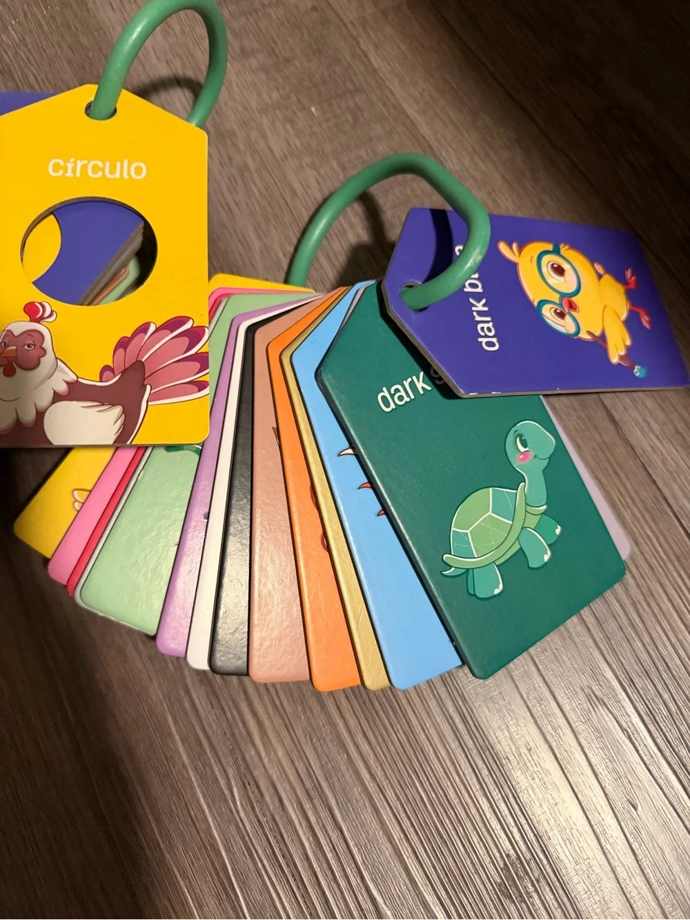 Kids Color & Shape Learning Cards - Multi-Color- like new